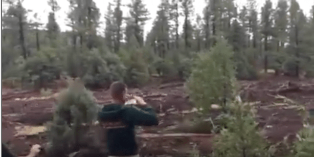 Bildschirmfoto 2017-07-17 um 22.02.20.png