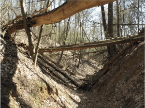 Wolfsschlucht at Pritzenhagen/Oberbarnim, Brandenburg. traces of erosion from the first half of the 14th Century(Foto: Lienhard Schulz, Lizenz: CC-BY-SA, Quelle: Wikimedia Commons)