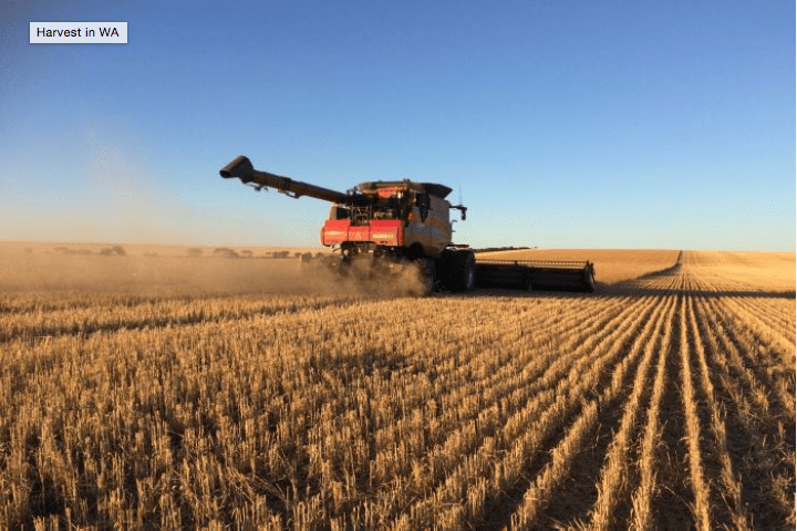 Extreme weather leads to up to 70 % crop losses in&nbsp;Australia