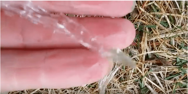 Dart-shaped Ice Rain/&nbsp;Hail