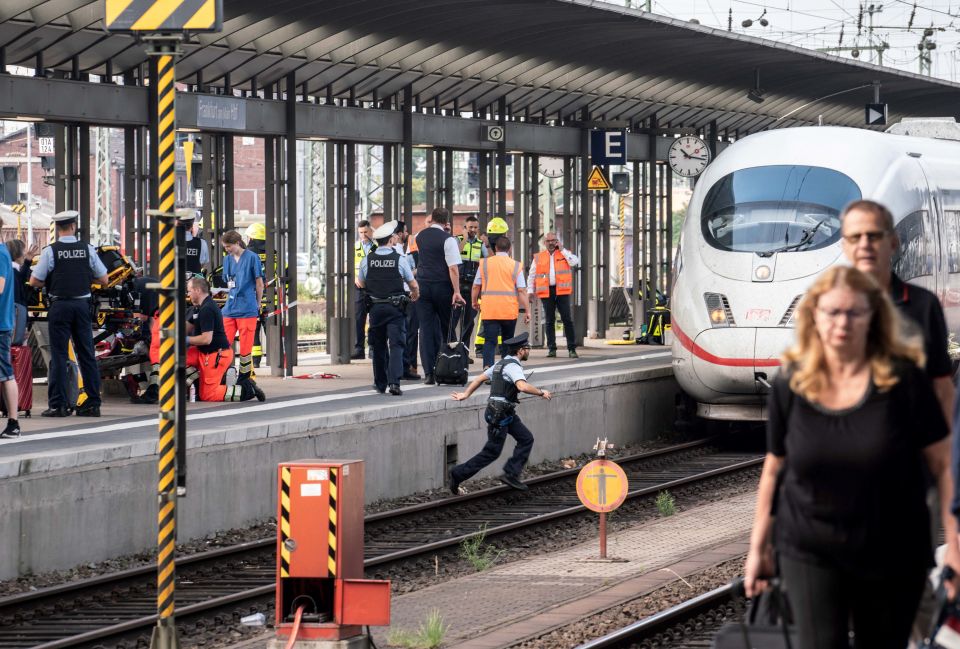 Migrants* push Passengers in front of Trains: 17 isolated recent cases in Germany speaking&nbsp;region