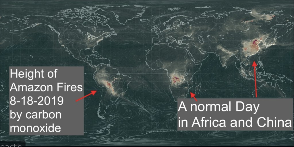 Amazon Fires 2019: First Climate Change, how “Right-wing” Arsonists?