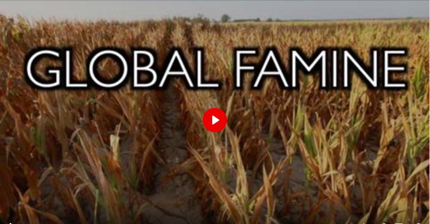 GLOBAL FAMINE: WHY? BIOENGINEERED TINY HUMANS FOR A ZERO CARBON FUTURE – Ice Age&nbsp;Farmer
